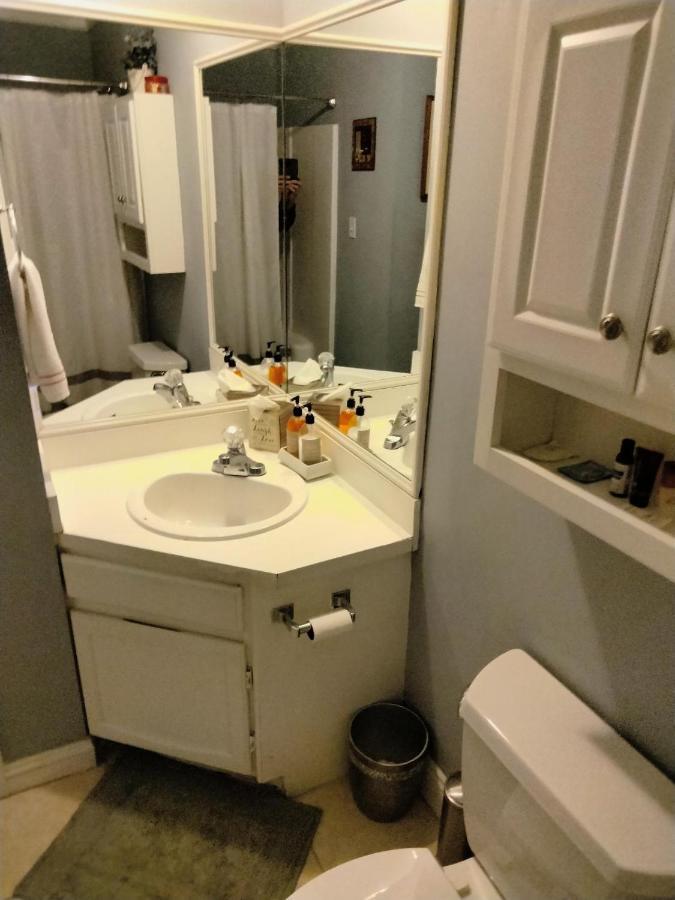 Unique 2 Bedroom / 2 Bath Condo In מירטל ביץ' מראה חיצוני תמונה